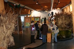 Killikus® Fotographie